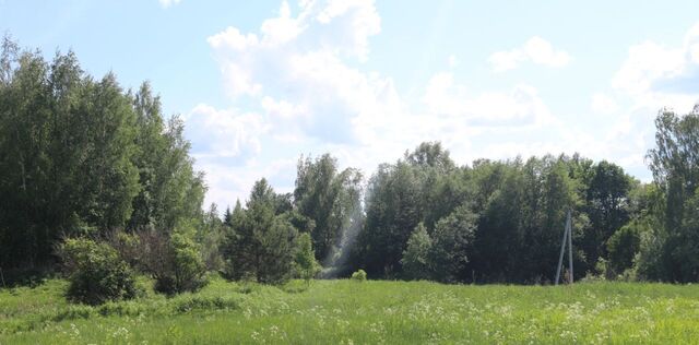 д Костуя ул Лесная 1 Любанское городское поселение фото