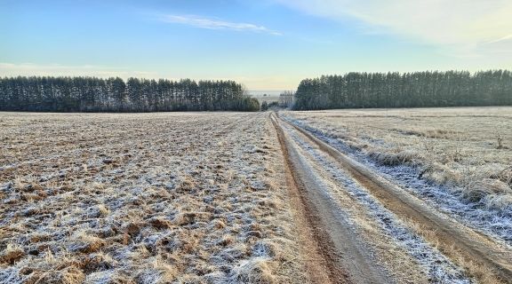 д Мыльники фото