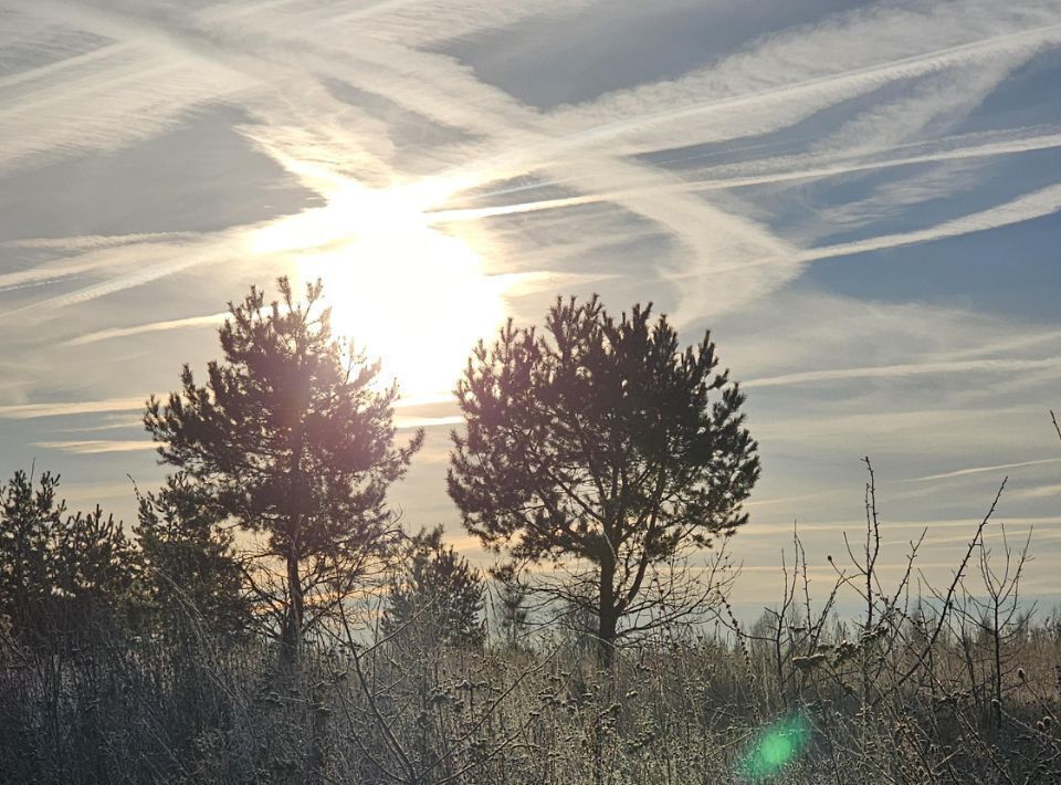 земля городской округ Луховицы д Псотино фото 1