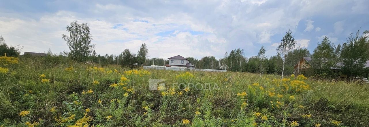 земля р-н Новосибирский п Двуречье Барышевский сельсовет фото 1