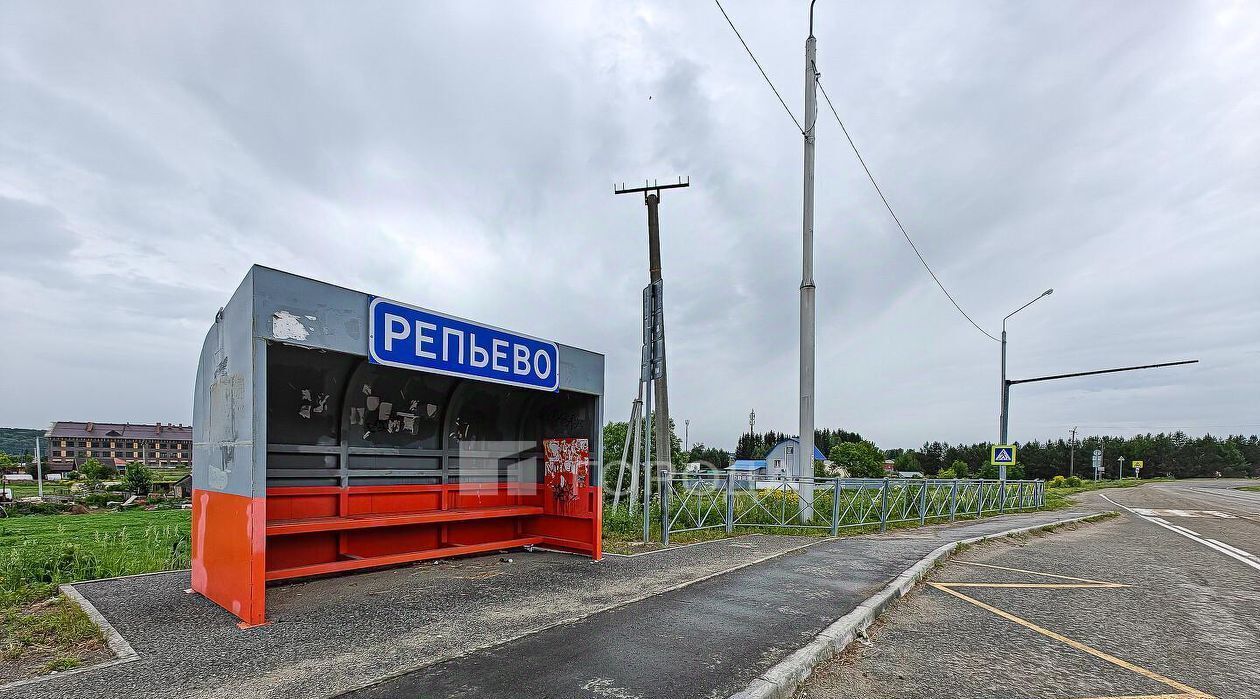 земля р-н Тогучинский с Репьево Репьевский сельсовет фото 3