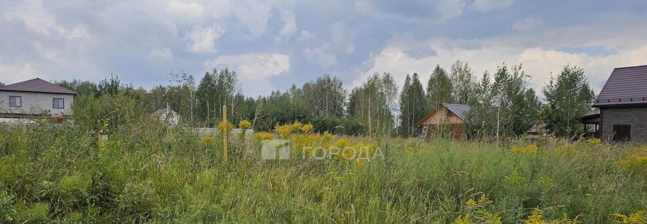 земля р-н Новосибирский п Двуречье Барышевский сельсовет фото 2