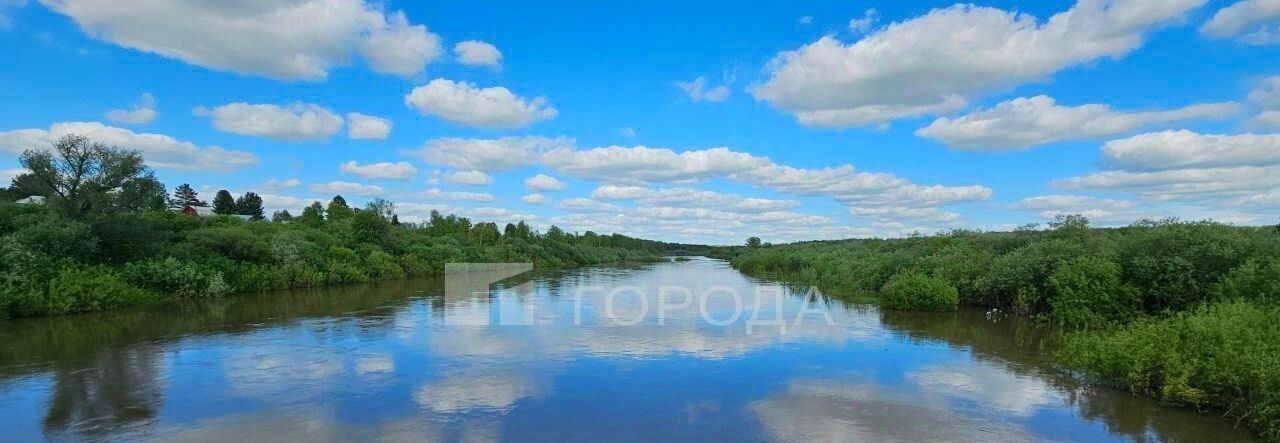 земля р-н Тогучинский с Репьево Репьевский сельсовет фото 11