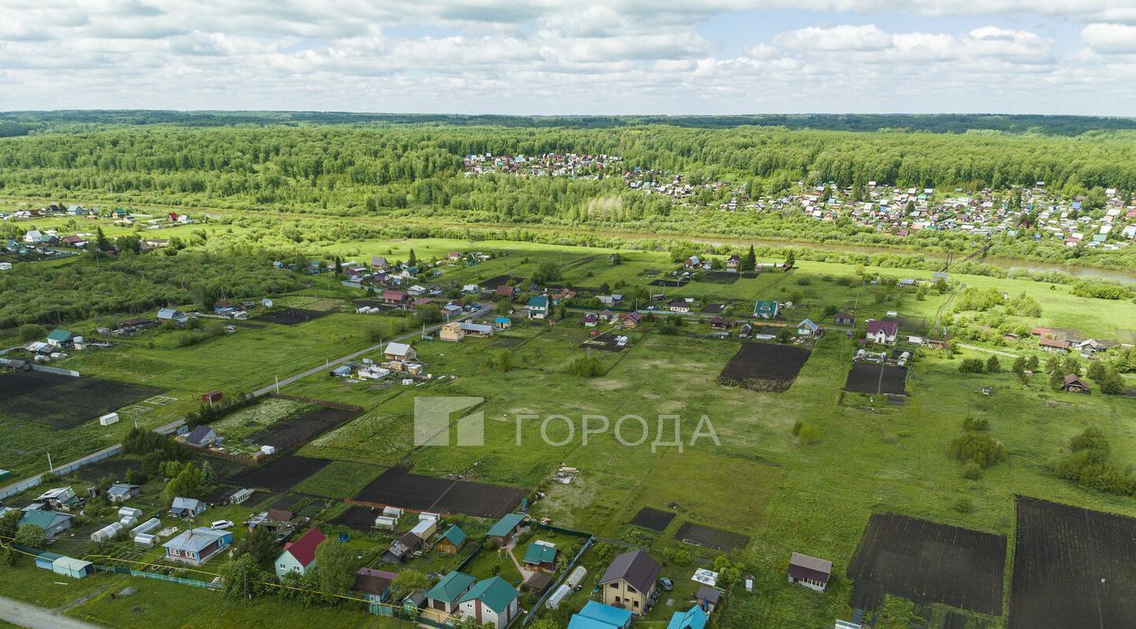 земля р-н Тогучинский с Репьево Репьевский сельсовет фото 6