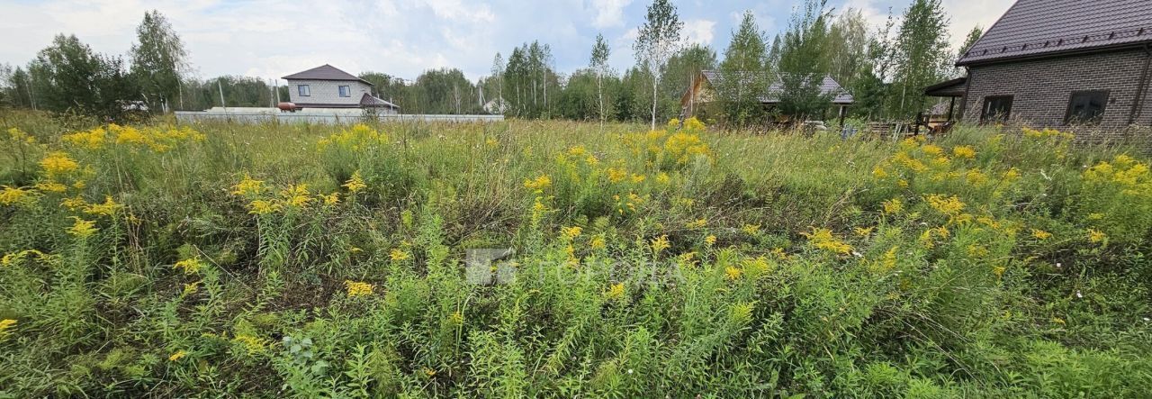 земля р-н Новосибирский п Двуречье Барышевский сельсовет фото 5