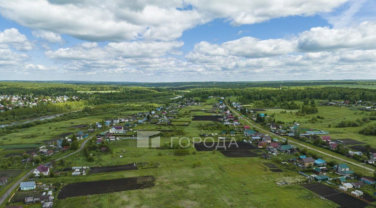 земля р-н Тогучинский с Репьево ул Инская Репьевский сельсовет фото 28