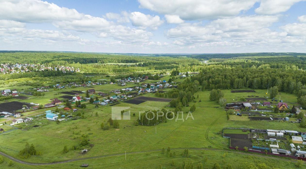 земля р-н Тогучинский с Репьево ул Магистральная Репьевский сельсовет фото 33