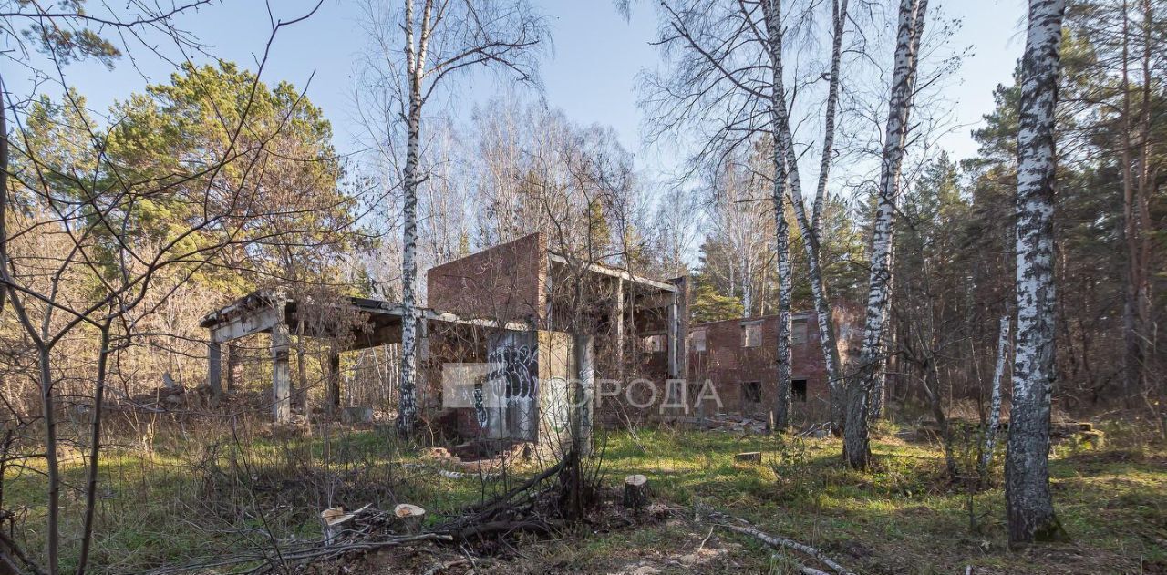 земля р-н Новосибирский ст Издревая ул Вокзальная Барышевский сельсовет фото 19