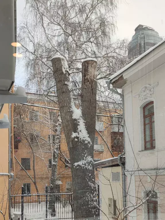 квартира г Екатеринбург ул Толмачева 13 Площадь 1905 года фото 35