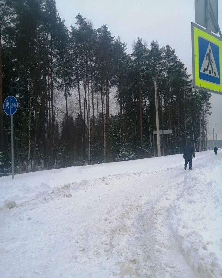 квартира р-н Всеволожский г Сертолово ул Пограничная 4к/2 Сертоловское городское поселение фото 15