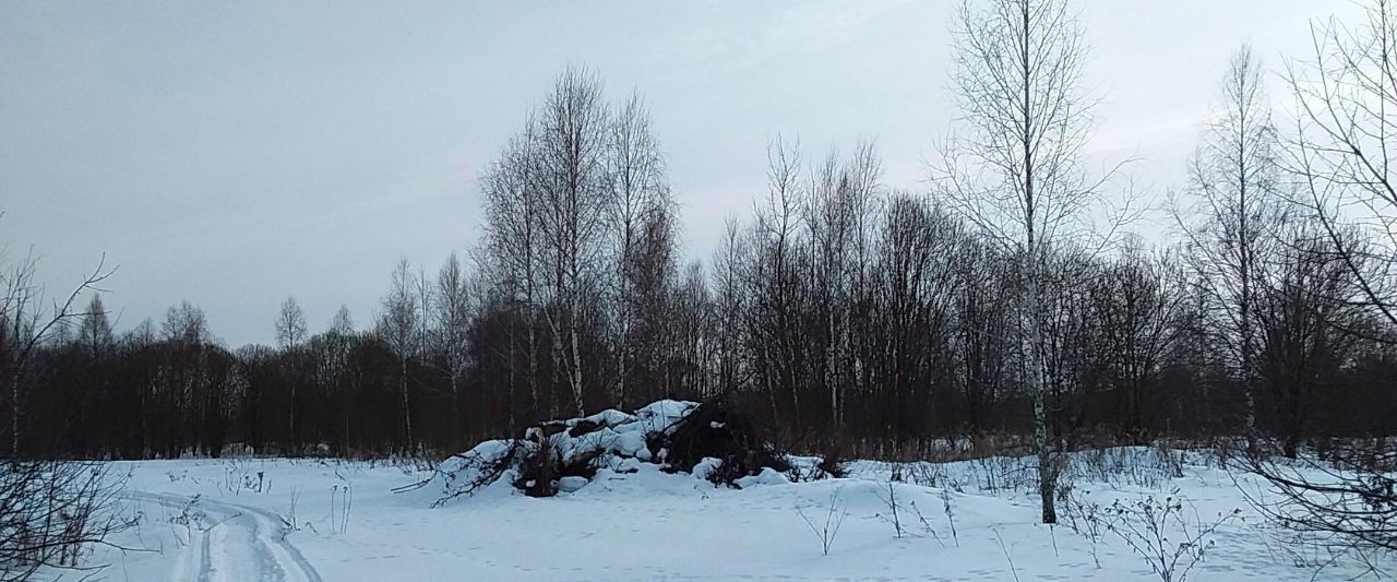 земля городской округ Ступино д Лаврентьево фото 1