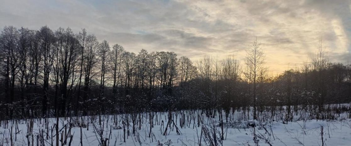 земля городской округ Дмитровский д Астрецово фото 1