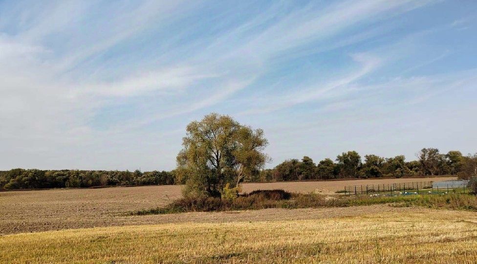 земля городской округ Чехов д Люторецкое фото 1