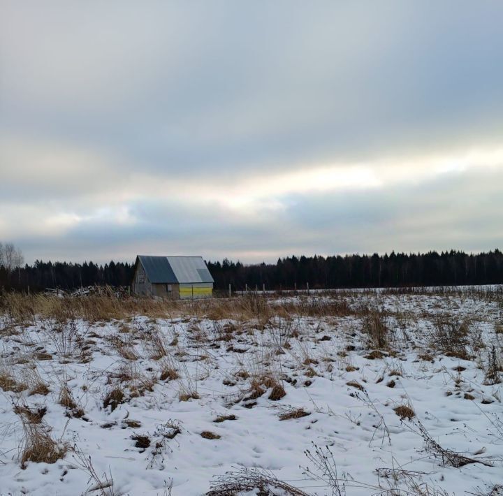 земля городской округ Пушкинский д Петушки фото 4