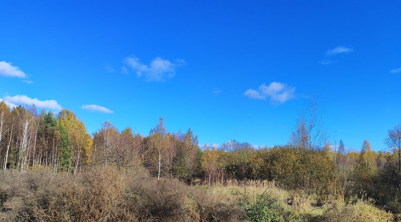 земля городской округ Раменский д Коломино фото 4