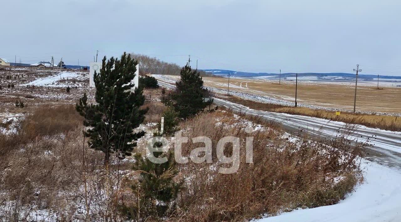 земля р-н Емельяновский п Емельяново Емельяновская Горка кп фото 3