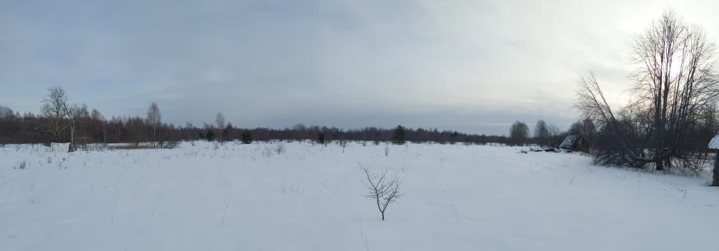 дом р-н Псковский д Замошье Середкинская волость фото 11