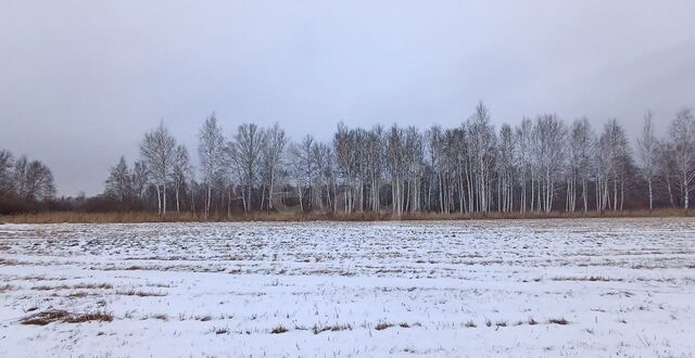 снт тер.Райские сады Ключевское сельское поселение, Каскара фото