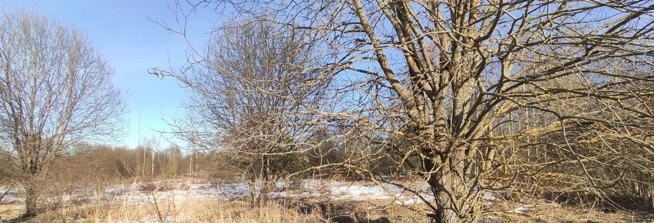 земля городской округ Талдомский п Запрудня фото 1