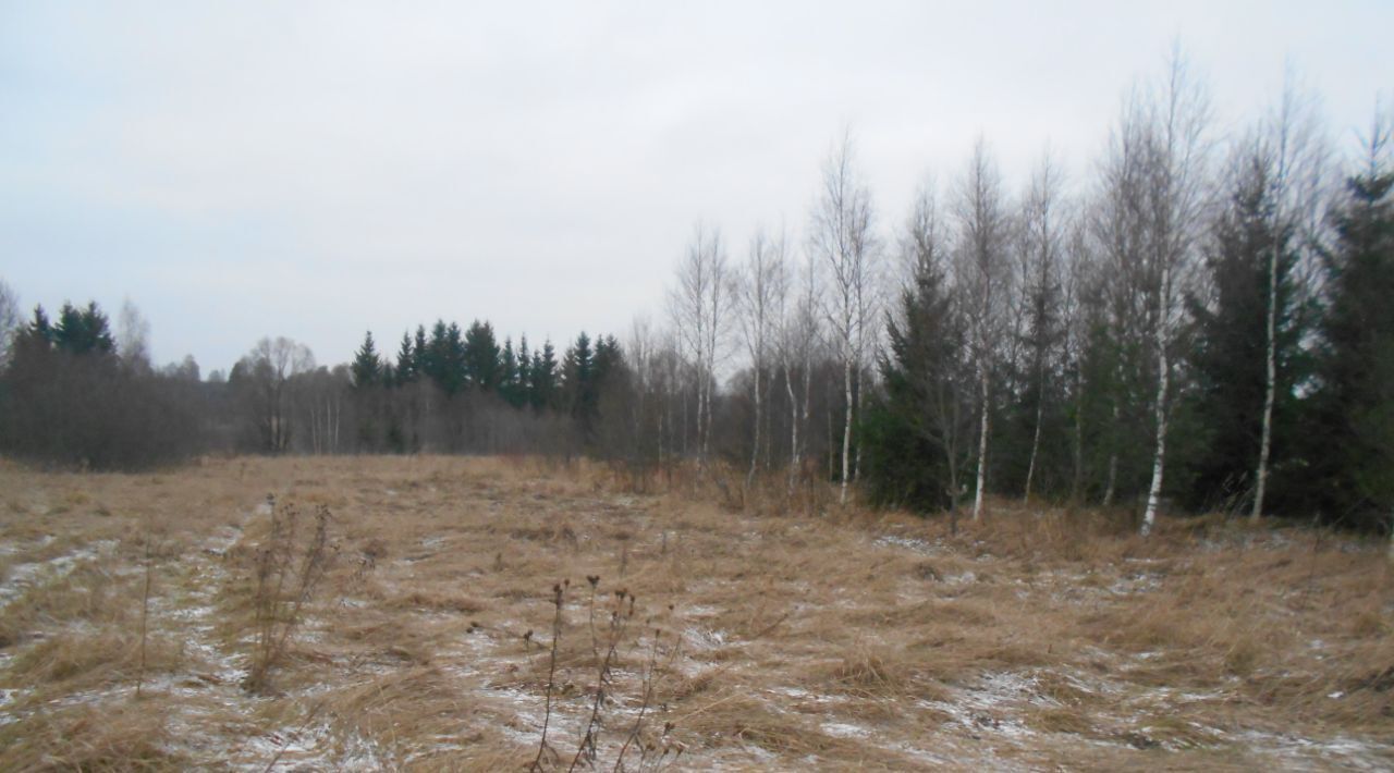 земля городской округ Шаховская д Лукошкино фото 1