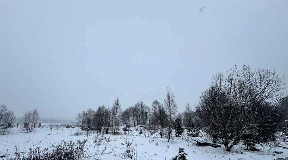 земля городской округ Солнечногорск д Новая фото 1