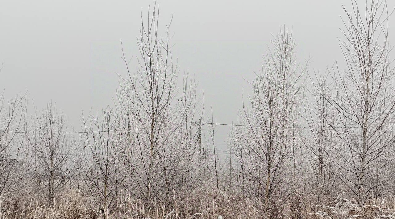 земля городской округ Кашира д Тарасково фото 1