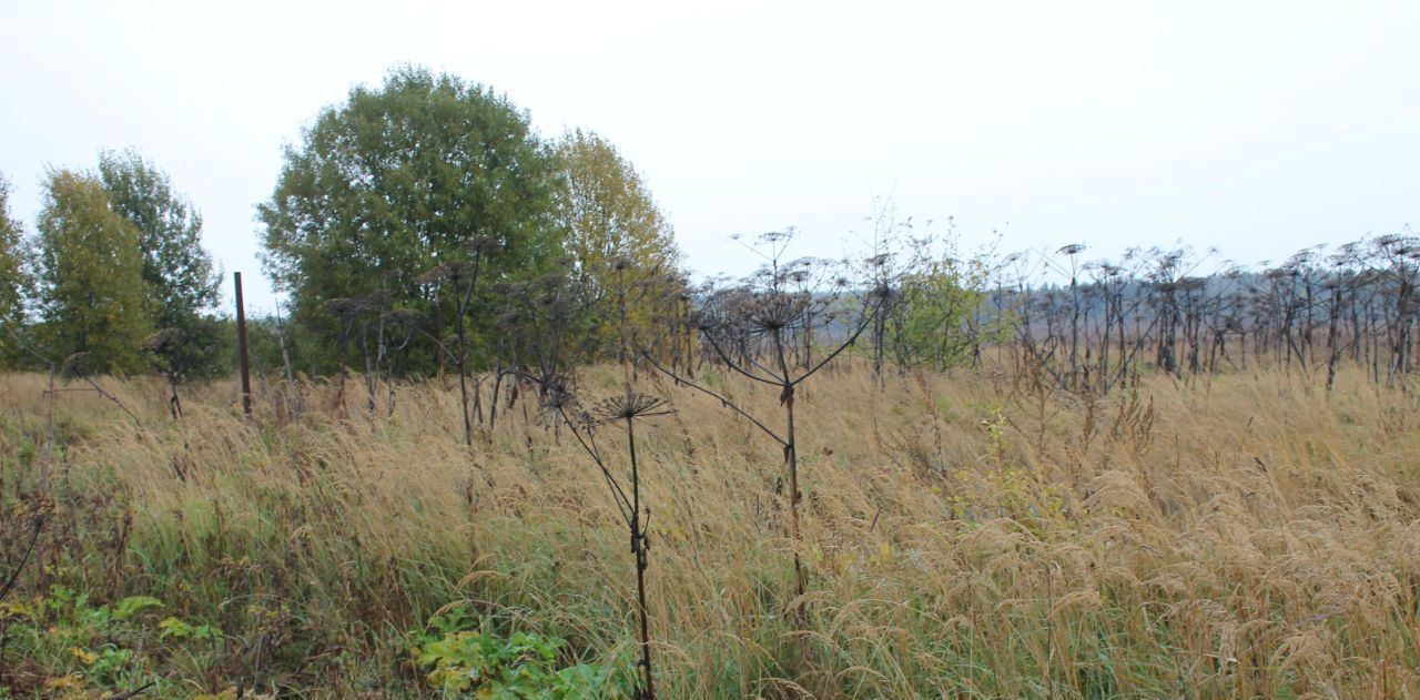 земля городской округ Рузский д Цыганово фото 1