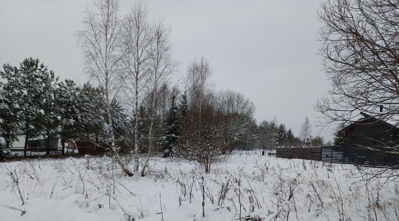 земля городской округ Наро-Фоминский д Вышегород фото 1