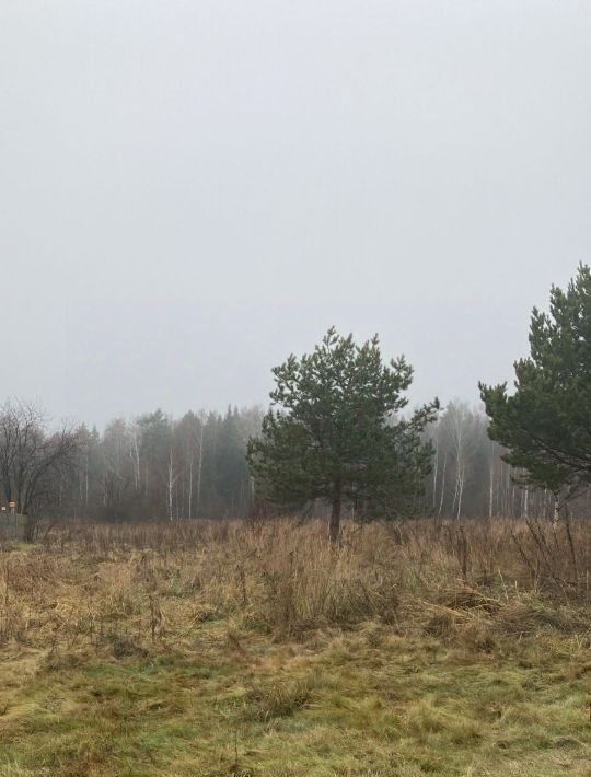 земля городской округ Егорьевск д Сазоново 25 фото 1