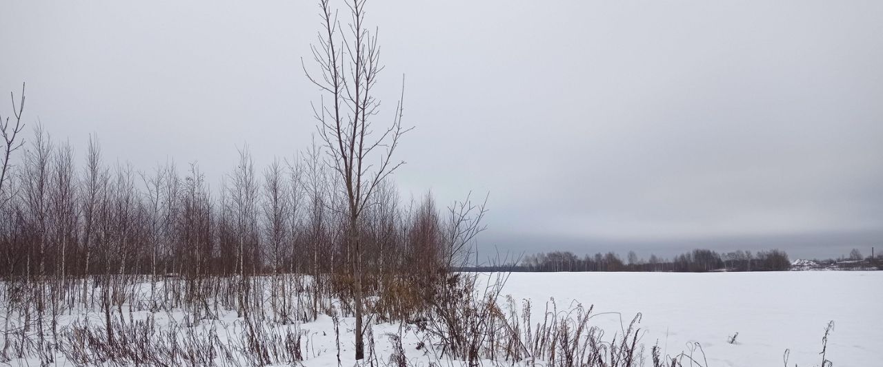 земля городской округ Клин д Сметанино 4В фото 1