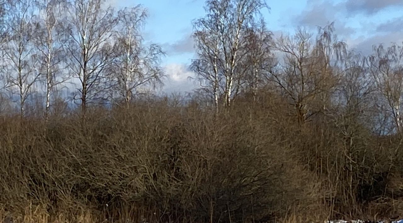 земля городской округ Клин д Трехденево фото 1