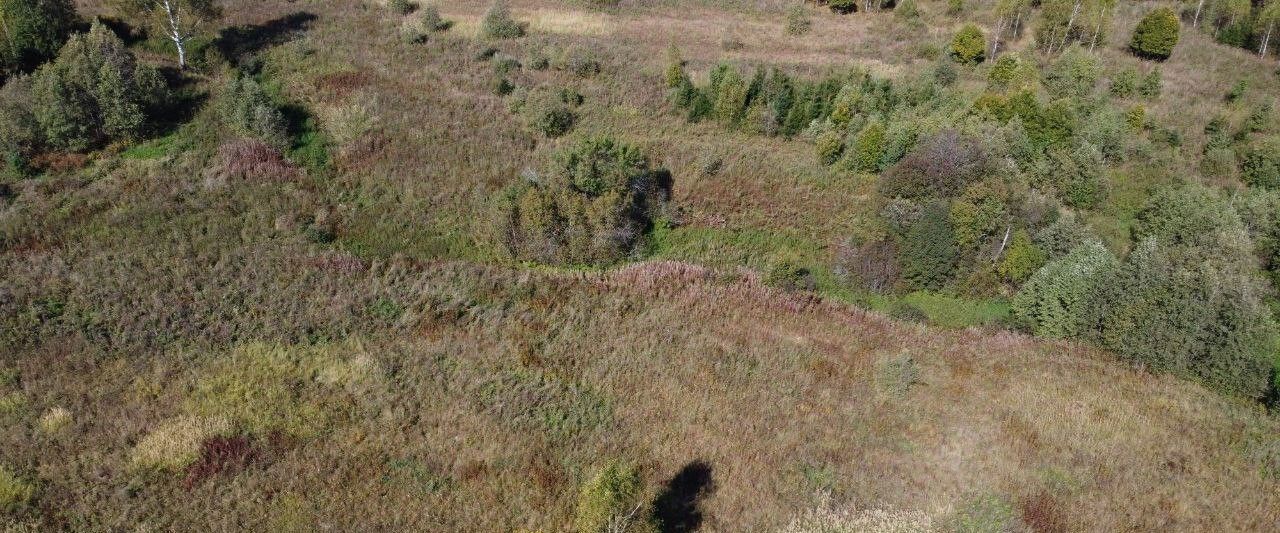 земля городской округ Волоколамский д Чернево фото 1