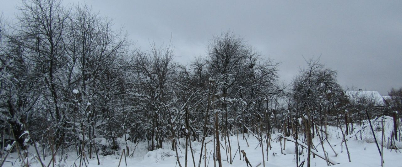 земля городской округ Рузский д Скирманово ул Центральная фото 3