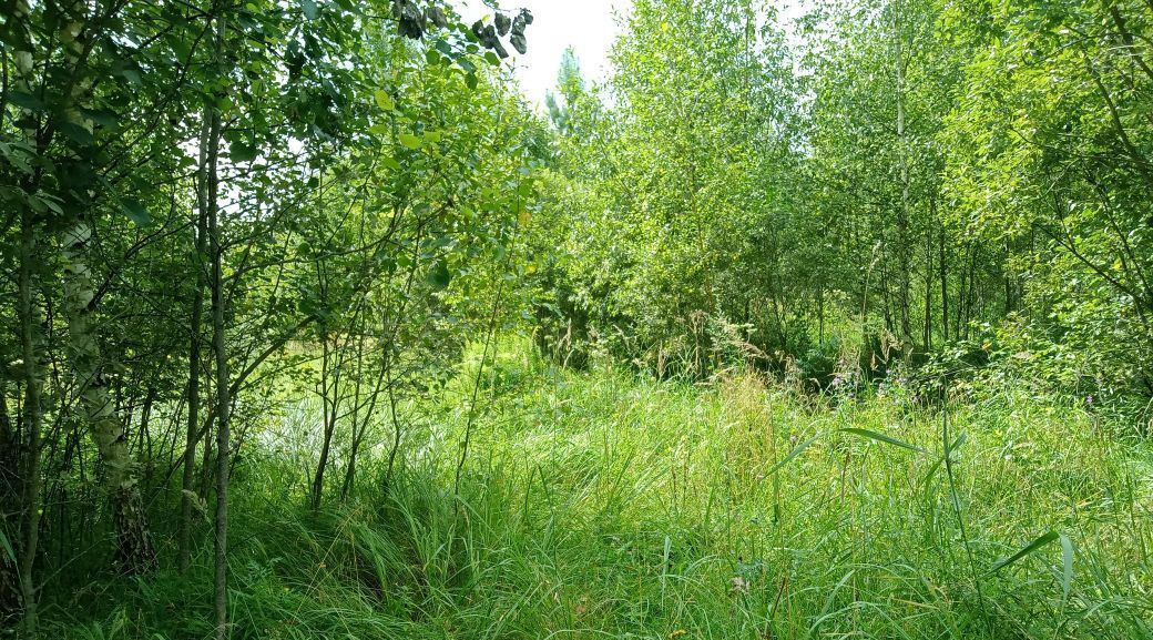 земля городской округ Воскресенск д Бочевино фото 2