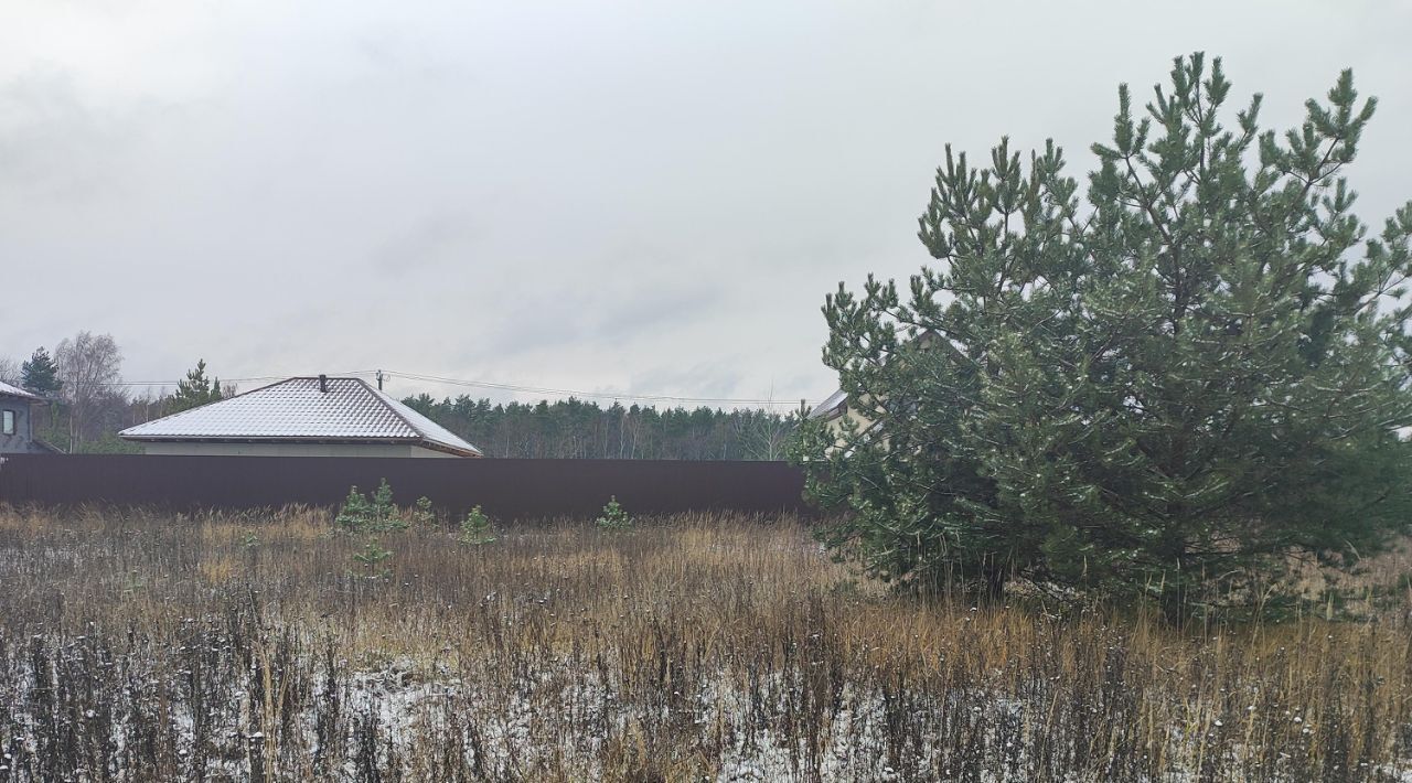 земля городской округ Раменский д Григорово ул Шоссейная Раменское фото 3