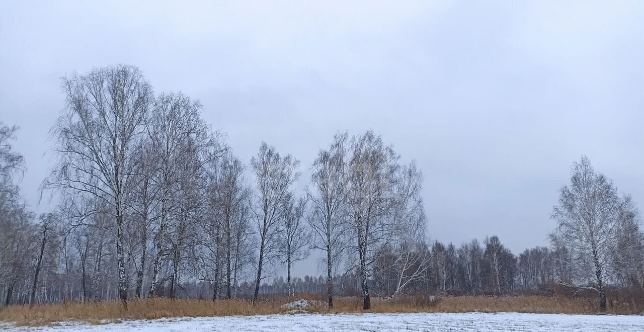 земля р-н Нижнетавдинский снт тер.Райские сады Ключевское сельское поселение, Каскара фото 9