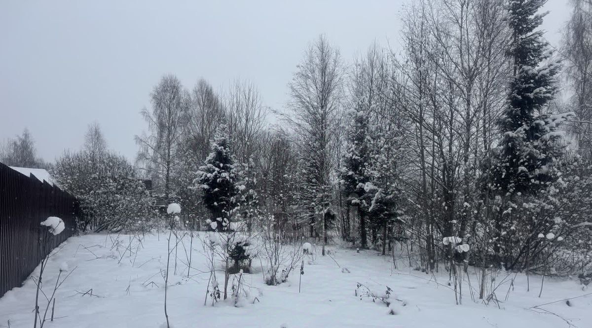 земля городской округ Дмитровский Светлана СНТ фото 2