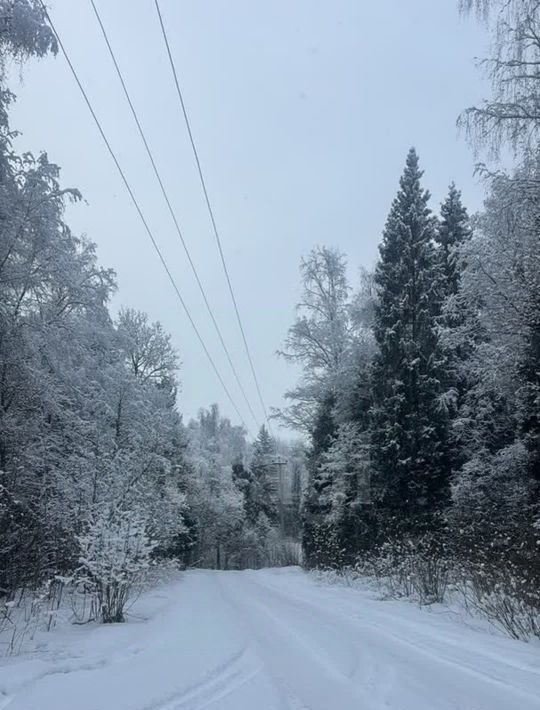 земля городской округ Дмитровский Светлана СНТ фото 9