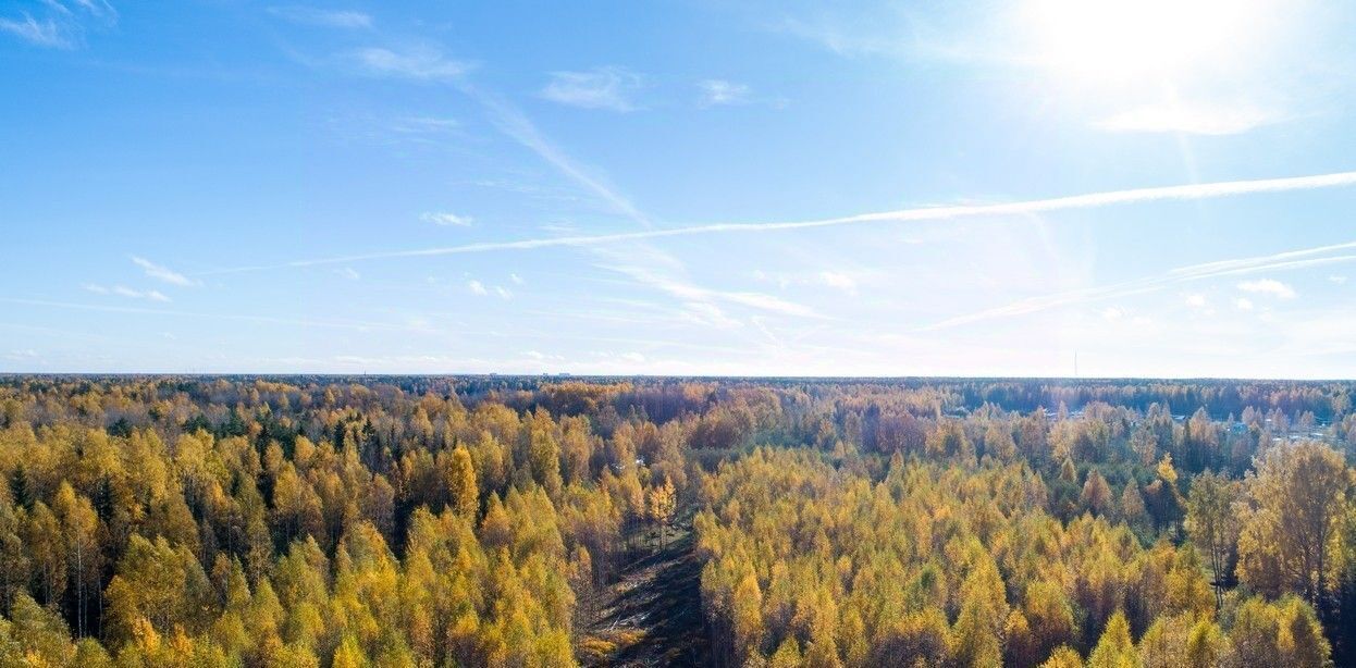 земля р-н Всеволожский Колтушское городское поселение, Мечта-2 кп фото 4