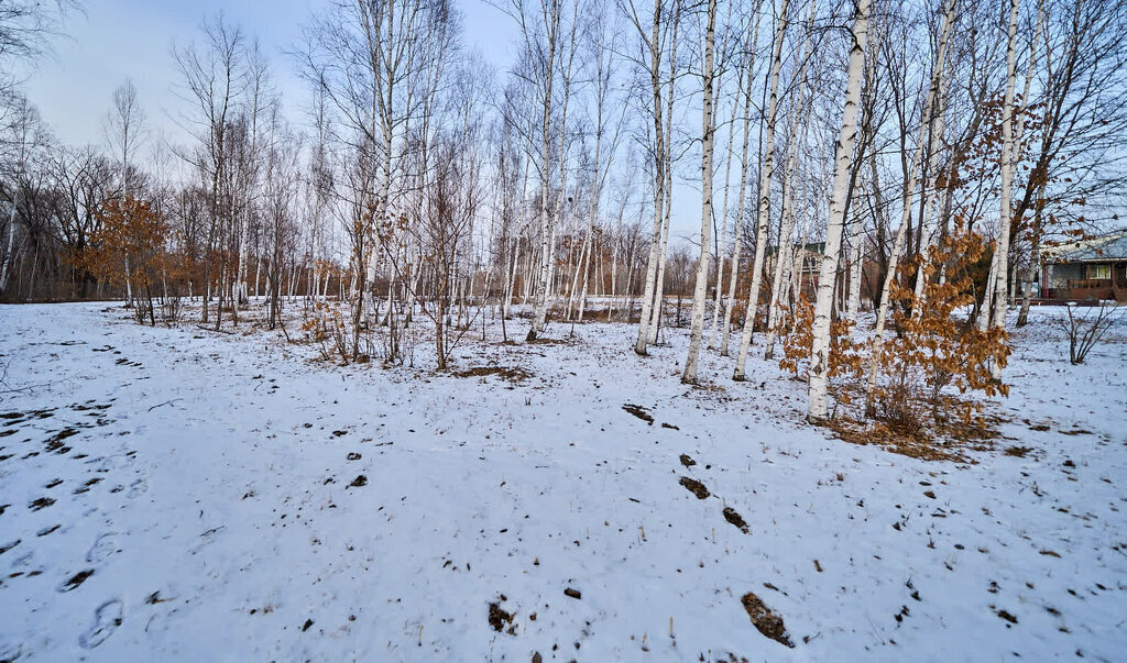 земля г Хабаровск фото 14