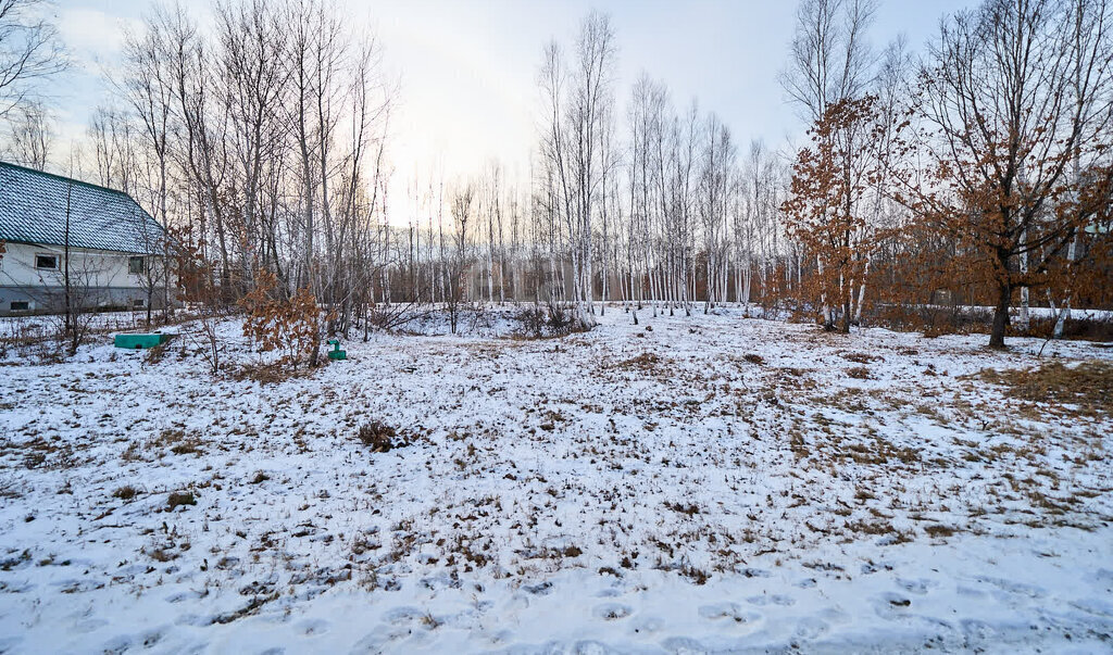 земля г Хабаровск фото 9