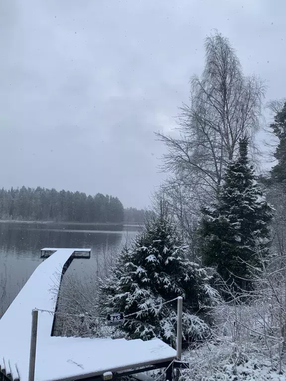 дом р-н Лахденпохский п Сикопохья территория, б/н, Лахденпохья фото 15