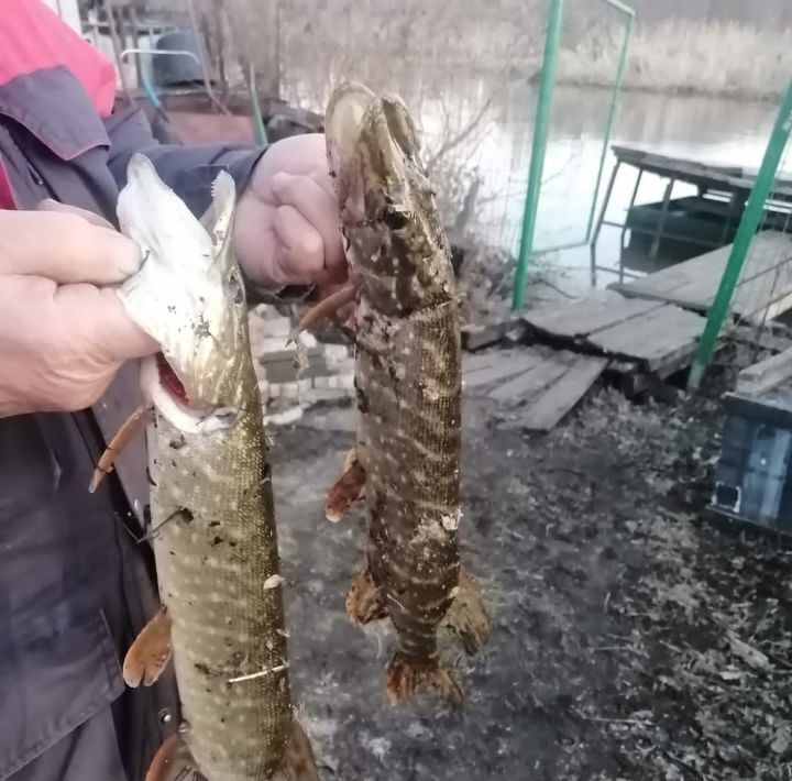 дом р-н Уфимский д Шмидтово ул Заозерная Русско-Юрмашский сельсовет фото 32