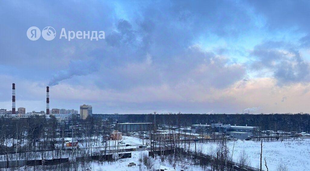 квартира г Санкт-Петербург метро Площадь Мужества дор Кушелевская 7к/4 фото 15