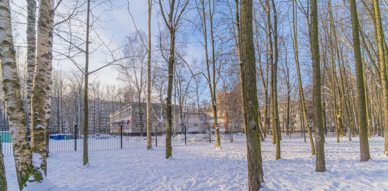 квартира г Санкт-Петербург метро Гражданский Проспект пр-кт Суздальский 91 фото 18