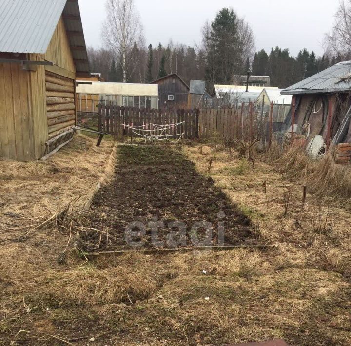 земля р-н Сыктывдинский с Выльгорт муниципальное образование, проезд 7-й, Рябинушка СТ фото 9