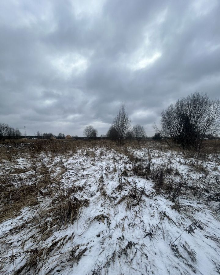 земля городской округ Орехово-Зуевский д Грибчиха Шатурторф фото 4