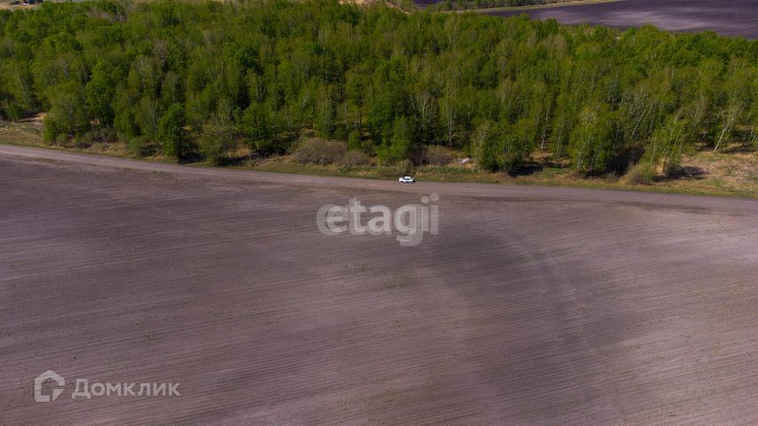 земля г Тюмень Тюмень городской округ, Загородный квартал Береза Парк. Квартал у озера фото 5