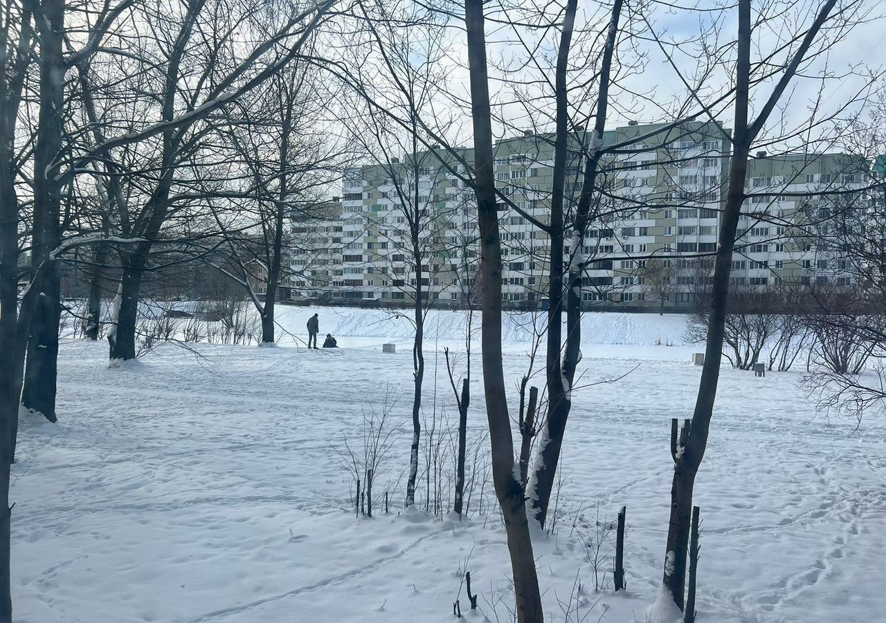 квартира г Санкт-Петербург метро Проспект Ветеранов пр-кт Ветеранов 104 округ Ульянка фото 8