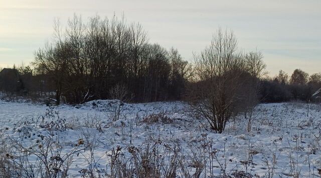 городской округ Наро-Фоминский д Волчёнки фото